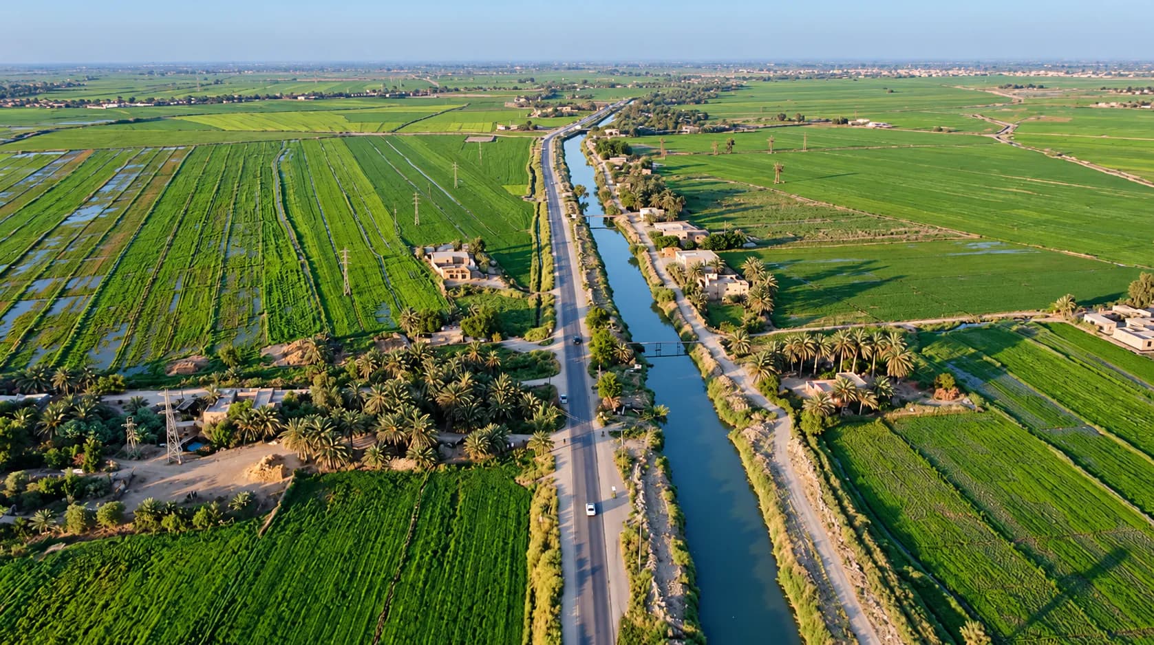 حقول خضراء وبساتين نخيل تمتد على جانبي قناة ري وطريق ريفي